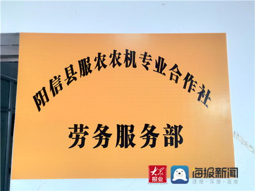 合作社里的新引擎 陽信流坡塢鎮組建勞務服務部，鋪就家門口的就業路